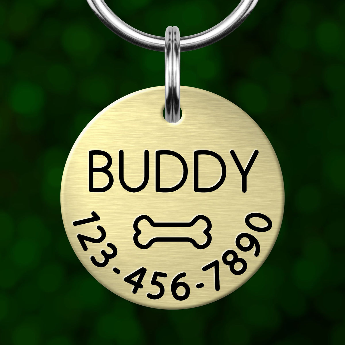 A round metal pet tag with the name "Buddy" and a bone symbol, along with a phone number.