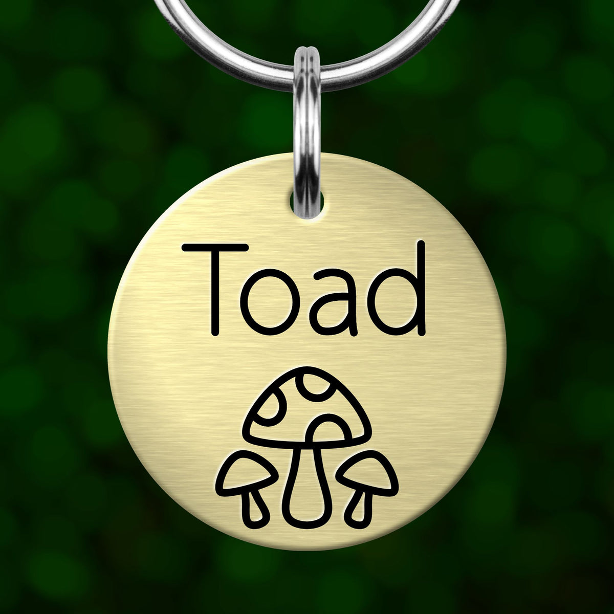 A round metal pet tag with the name "Toad" printed on it, featuring a mushroom graphic.