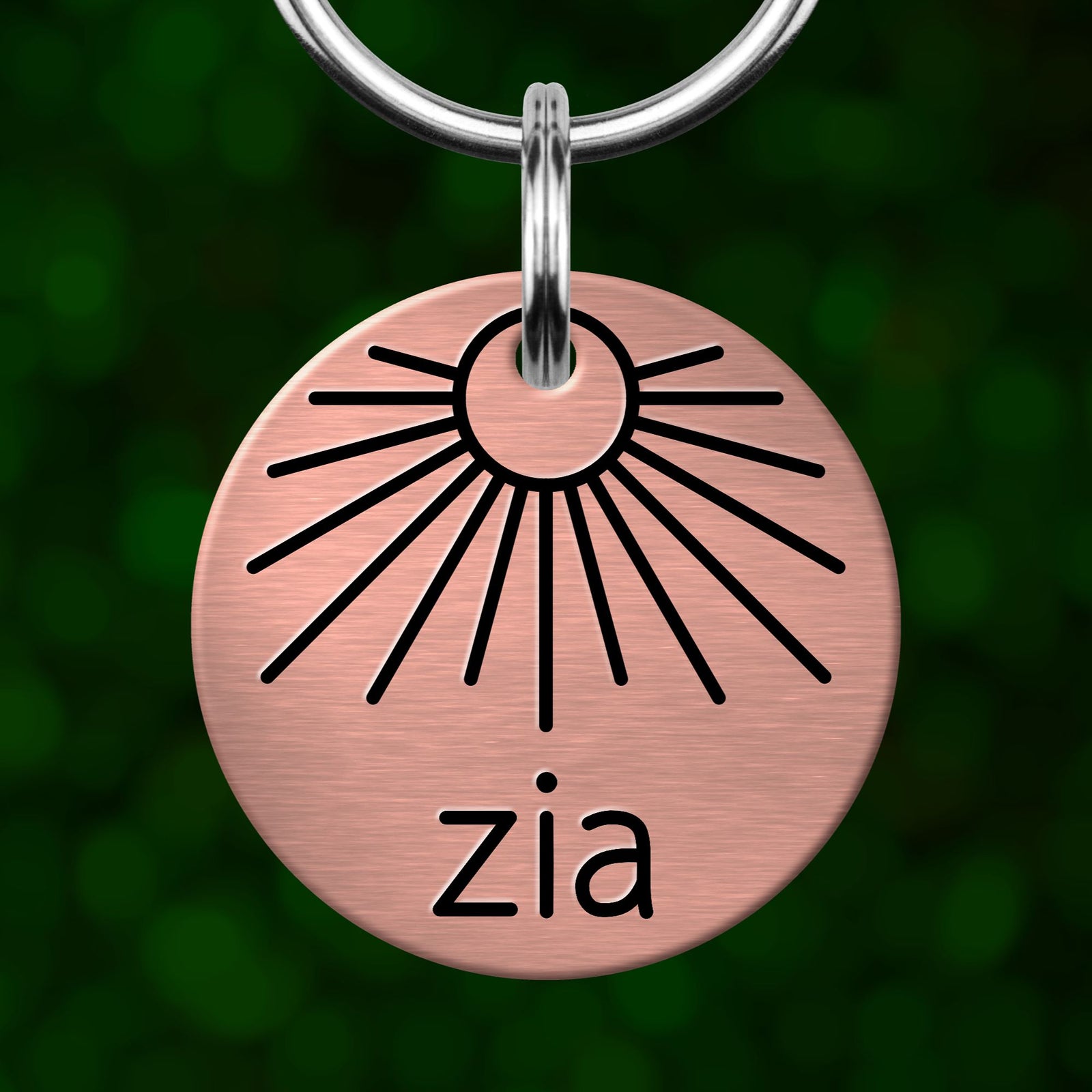 A round metal pet tag with a sun-like design and the word 'Zia' printed on it.