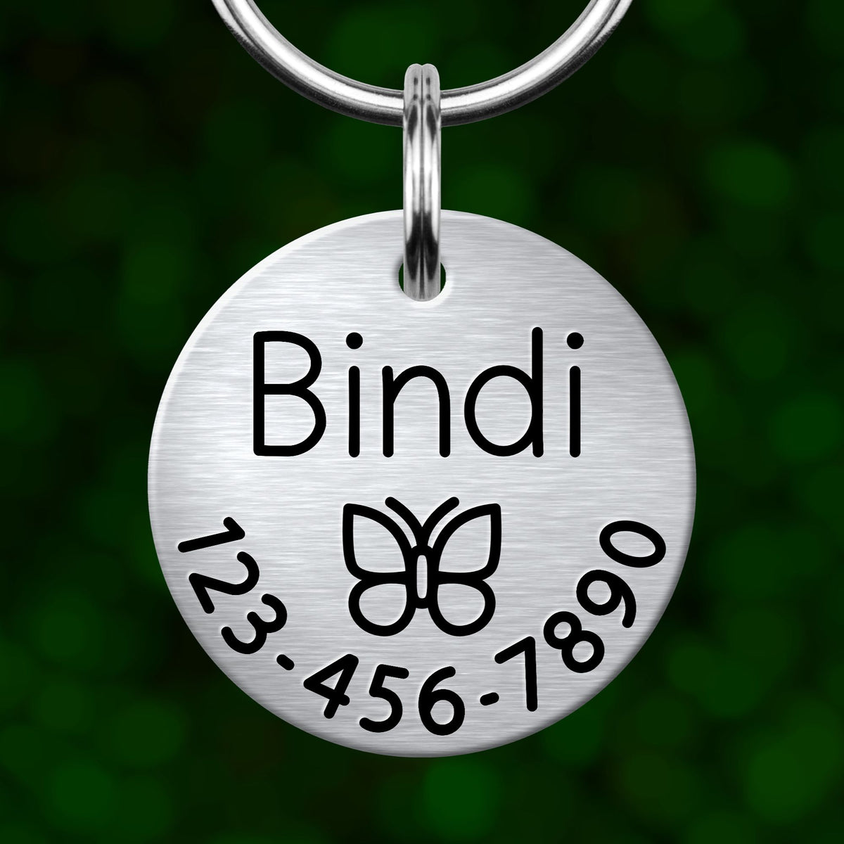 A silver-colored metal pet name tag with the name "Bindi" and a butterfly symbol.