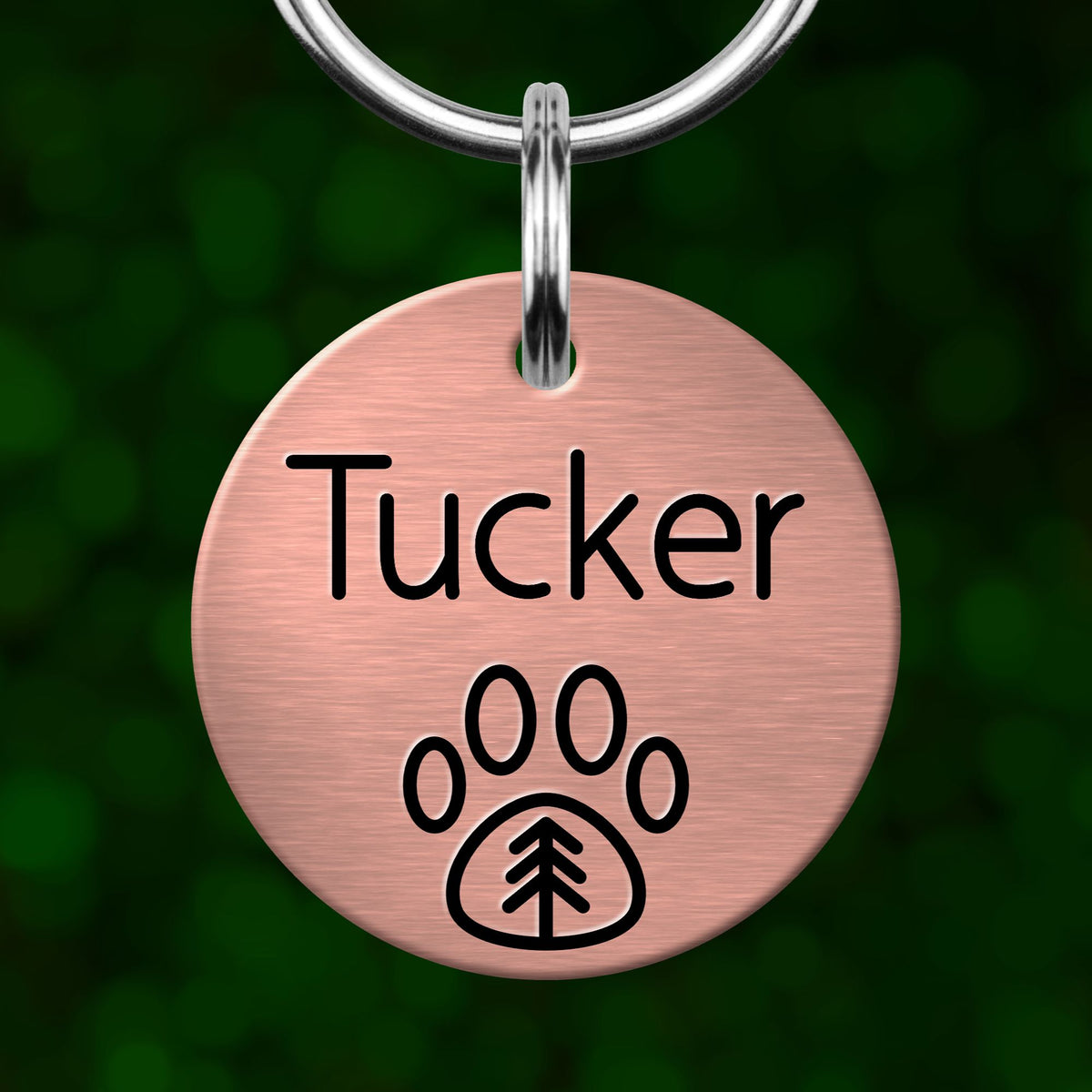 A round metal pet tag with the name "Tucker" printed on it, featuring a paw print symbol.