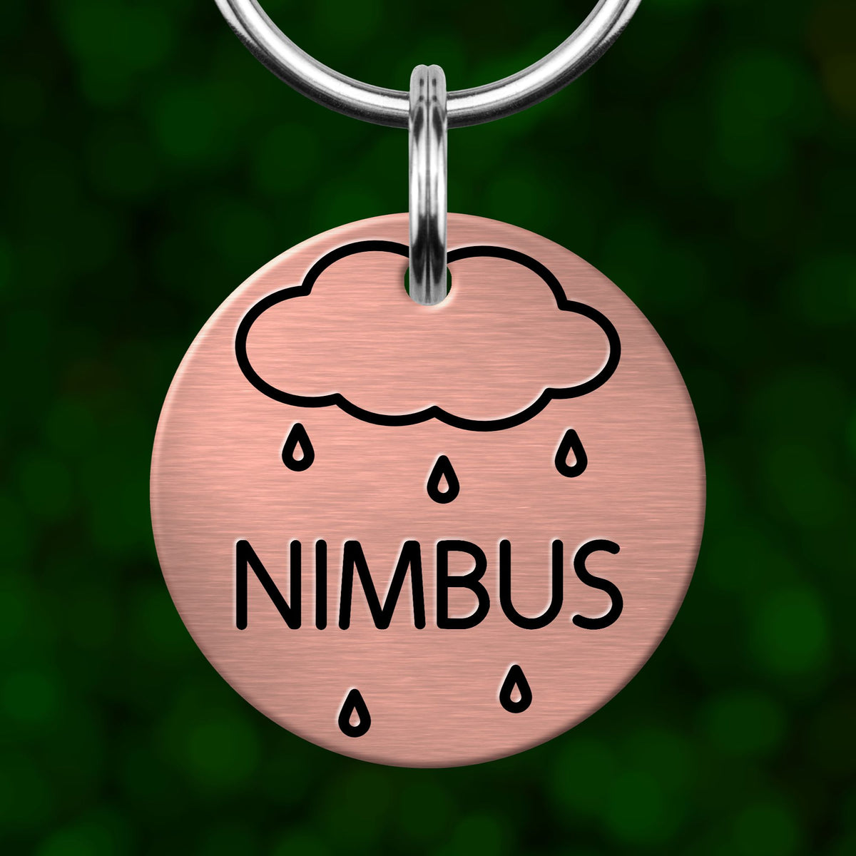 A round metal tag with a cloud and raindrops design, and the word "NIBBUS" printed on it.