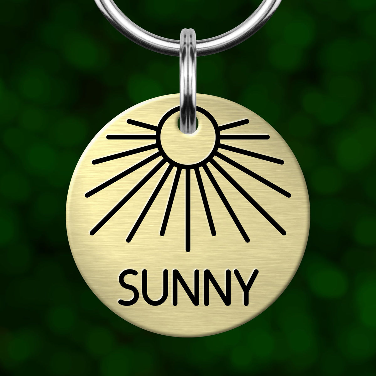 A round metal pet tag with a sun design and the word "SUNNY" printed on it.