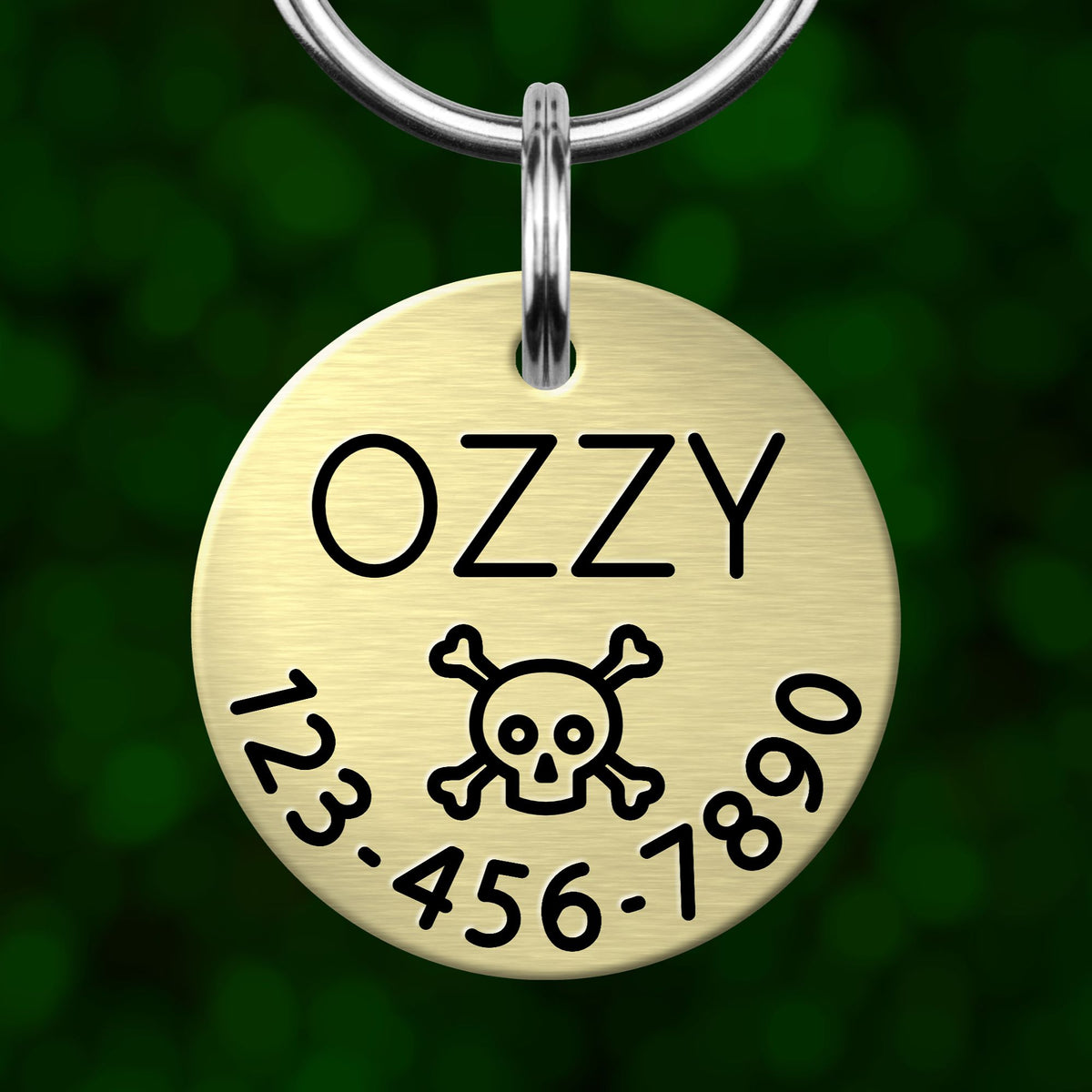 A round metal pet tag with the name "OZZY" and a skull and crossbones symbol, along with a phone number.