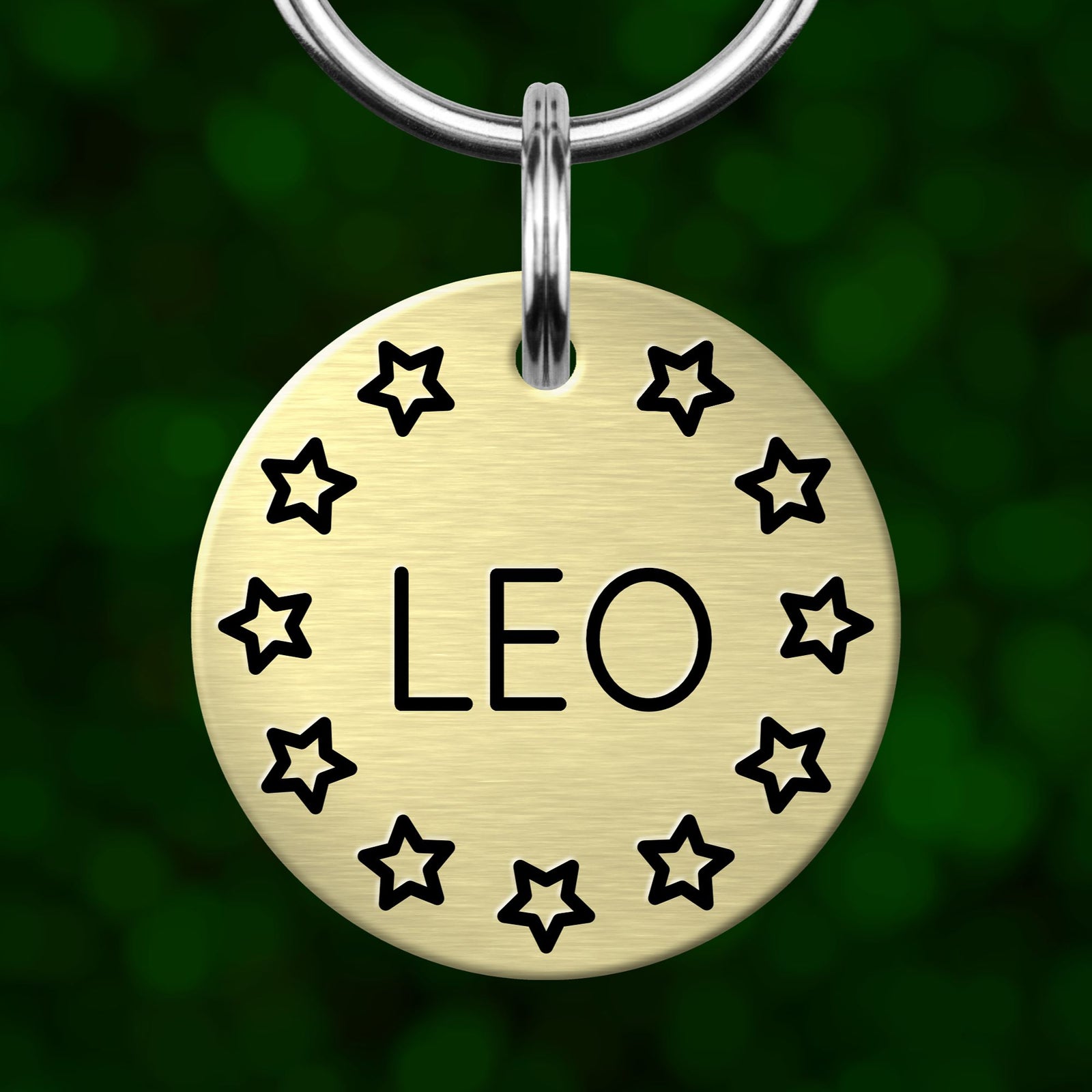 A round metal pet tag with the name "LEO" printed on it, surrounded by black stars.