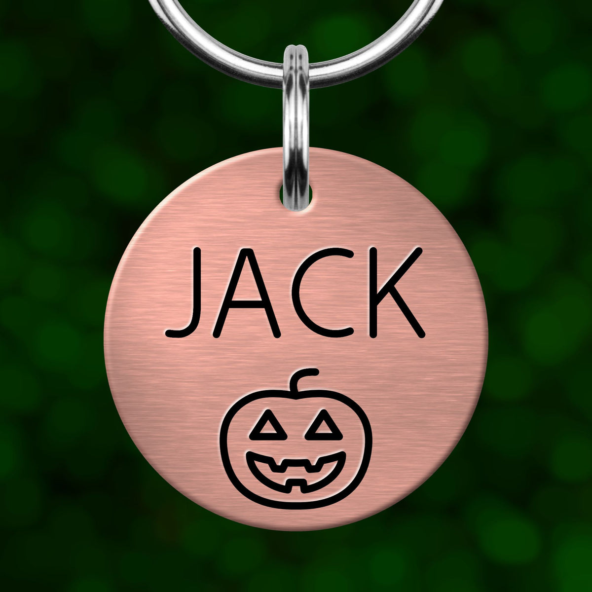 A round metal pet collar tag with the name "JACK" and a pumpkin icon printed on it.