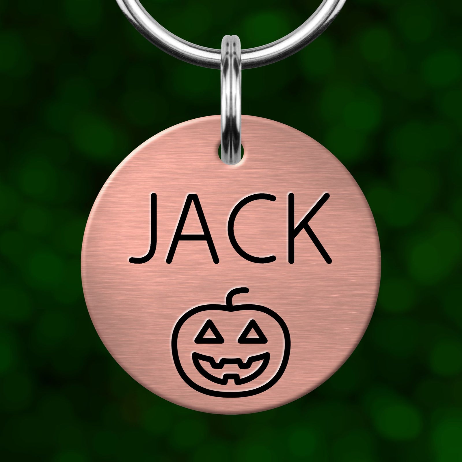 A round metal pet collar tag with the name "JACK" and a pumpkin icon printed on it.