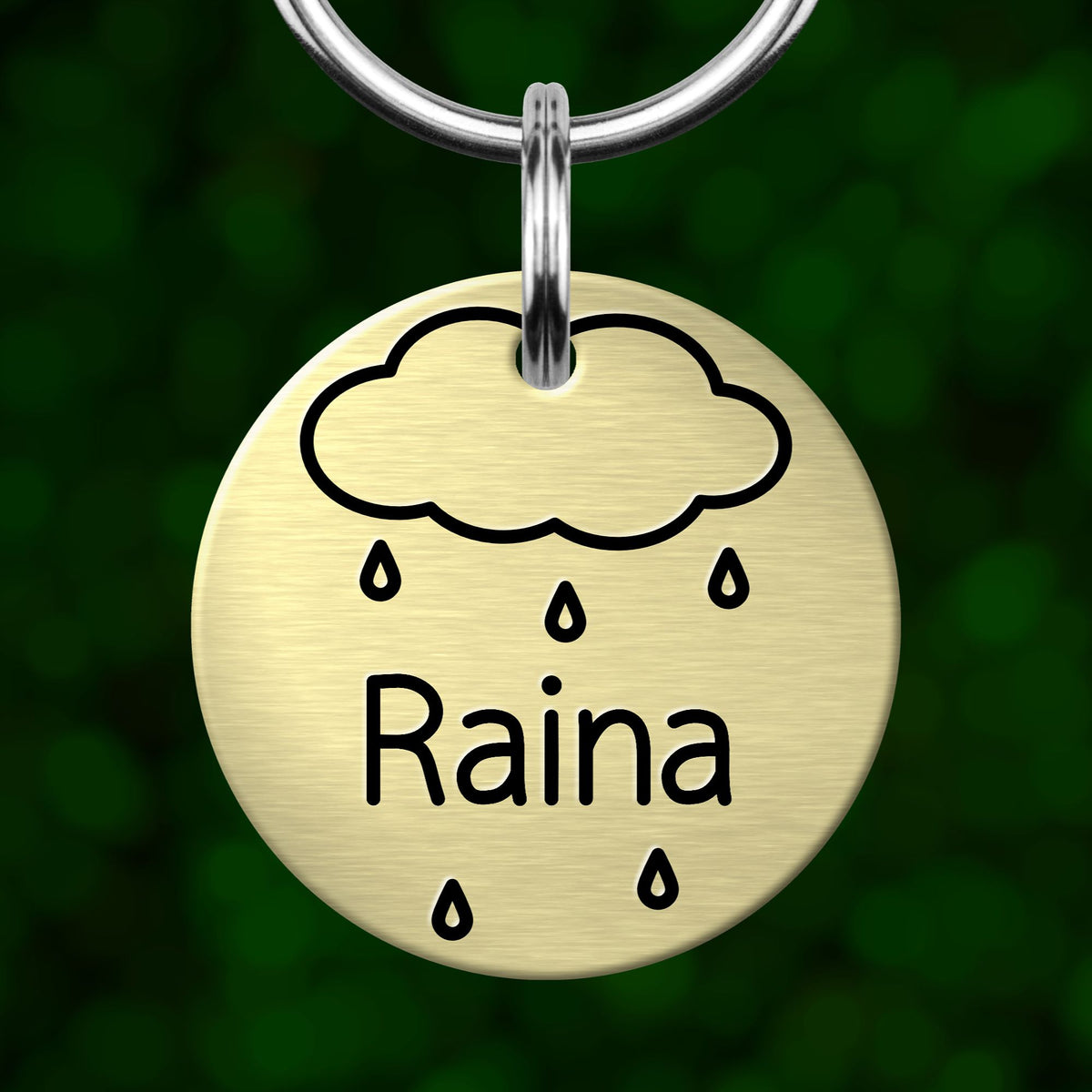 A round metal tag with a cloud and raindrops design, and the name "Raina" written on it.