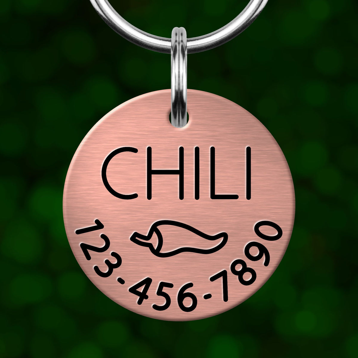 A copper-colored metal pet tag with the word "CHILI" printed on it, along with a chili pepper icon and a phone number.