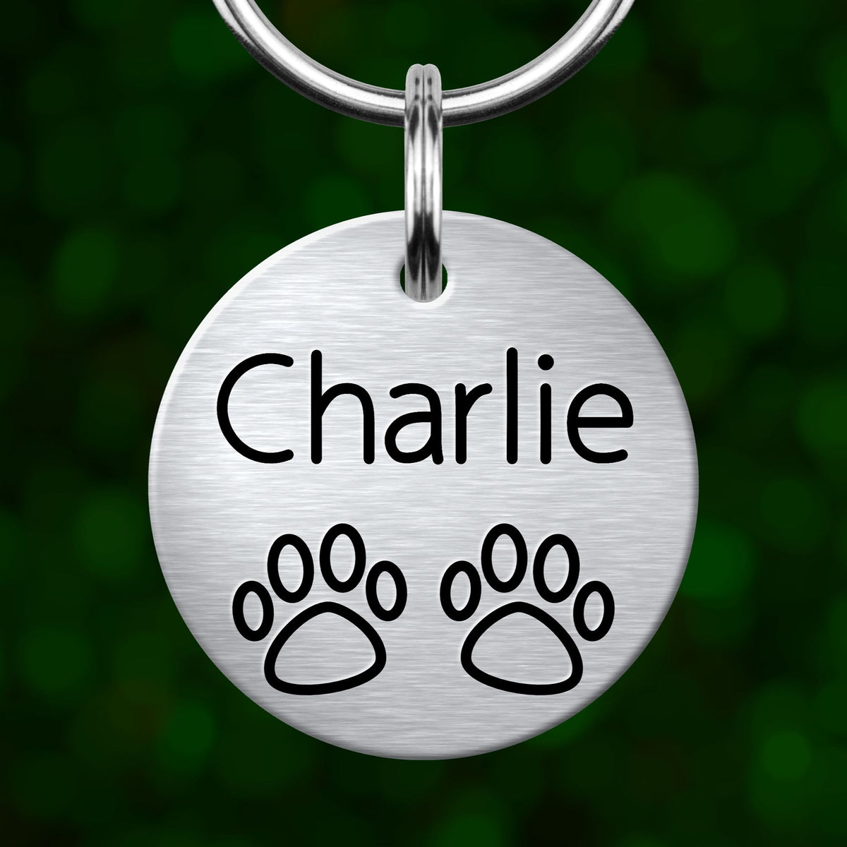 A silver metal name tag with the name "Charlie" and paw prints below it.