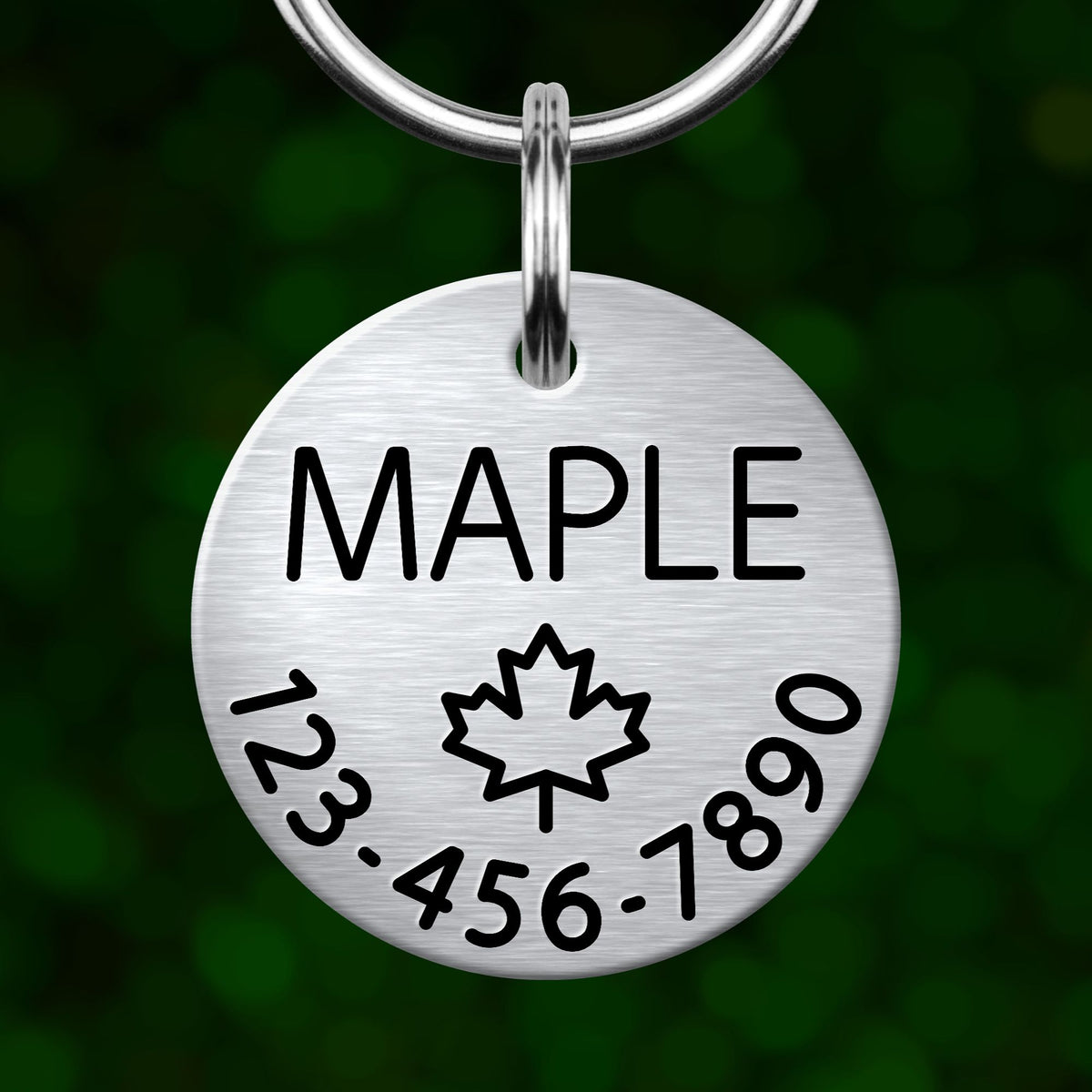 A silver metal pet tag with the word "MAPLE" printed on it, along with a maple leaf symbol and a phone number.