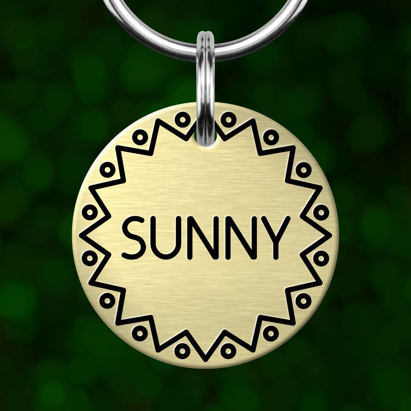 A round metal pet tag with the word "SUNNY" printed on it, hanging from a metal loop.