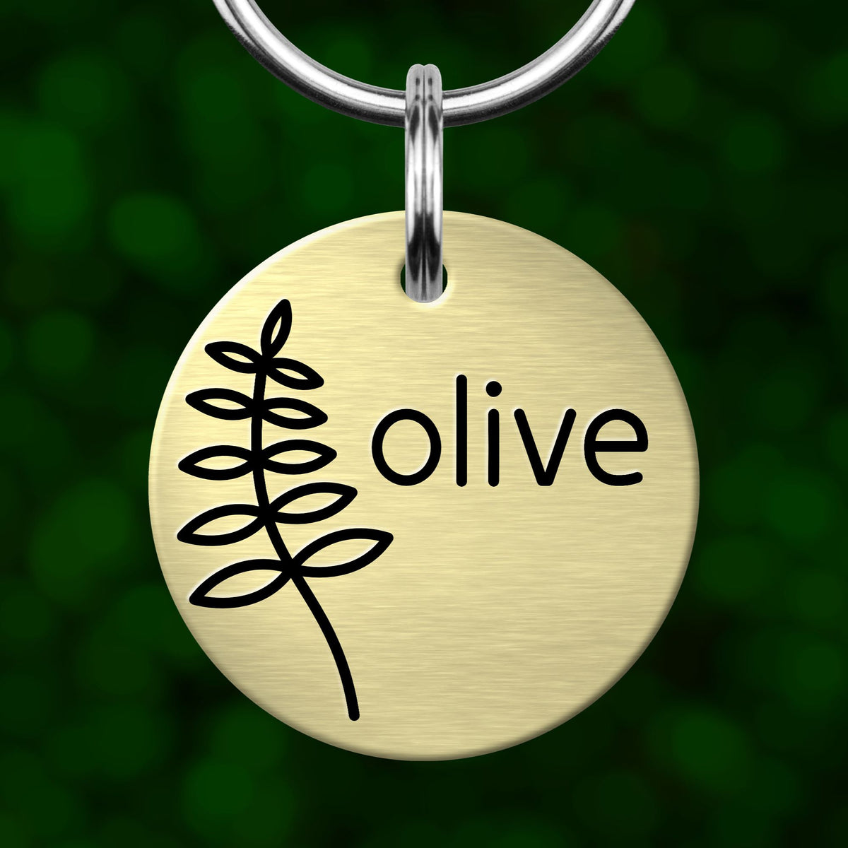 A round metal pet tag with the word "olive" printed on it, hanging from a keychain.