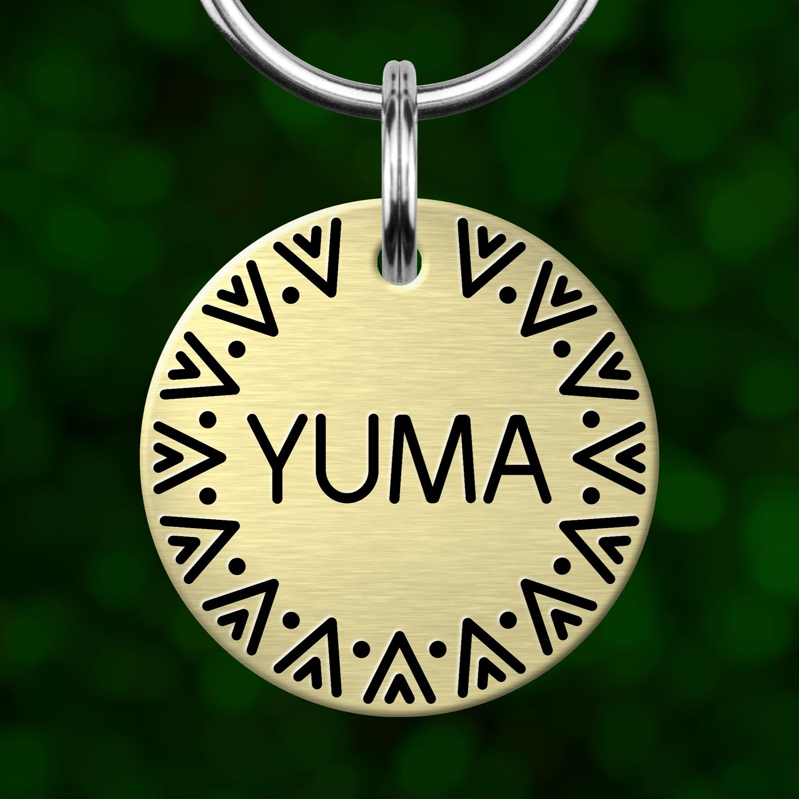 A round, gold-colored pet tag with the word "YUMA" printed on it, hanging from a metal loop.
