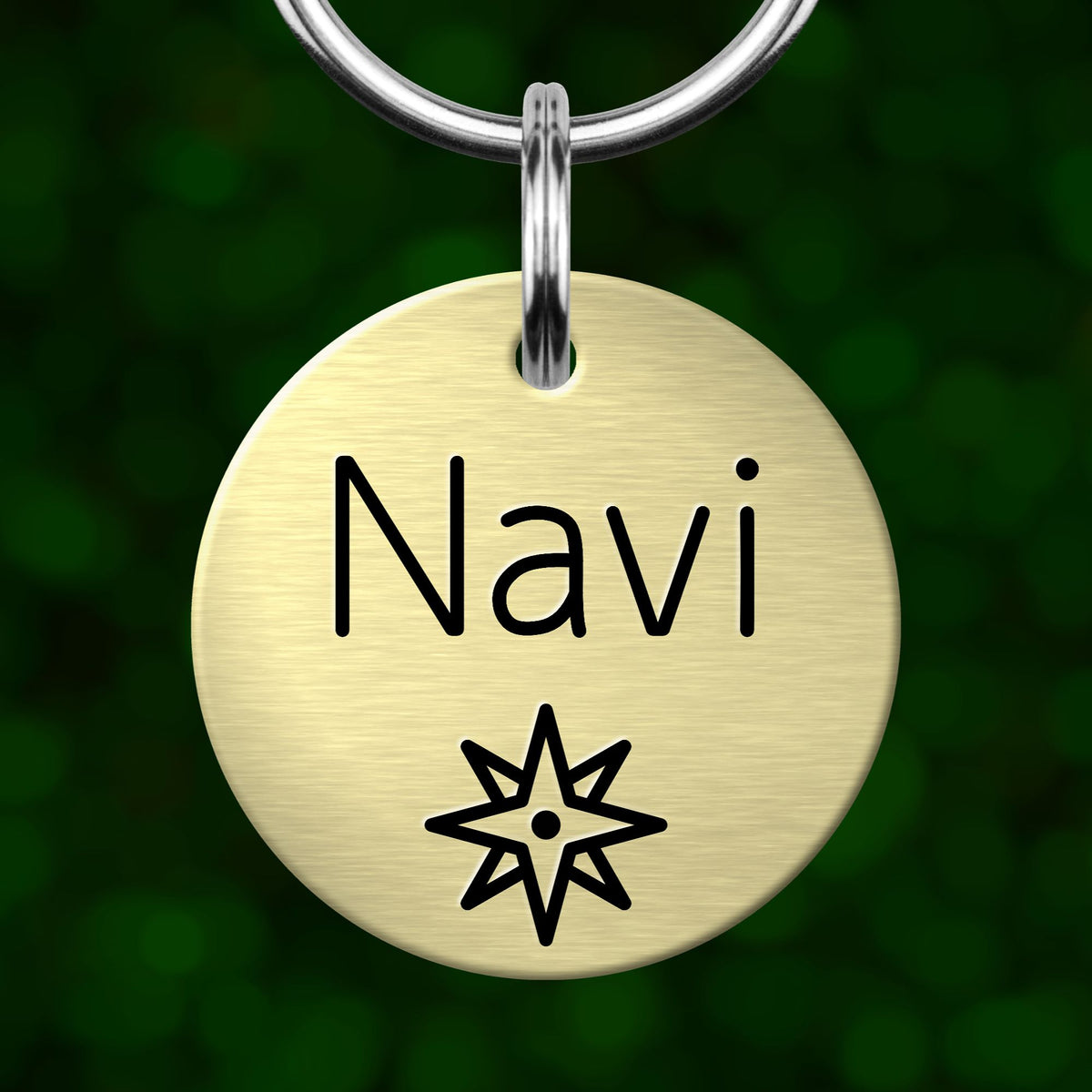 A round metal pet tag with the name "Navi" written on it, hanging from a metal hook against a blurred green background.