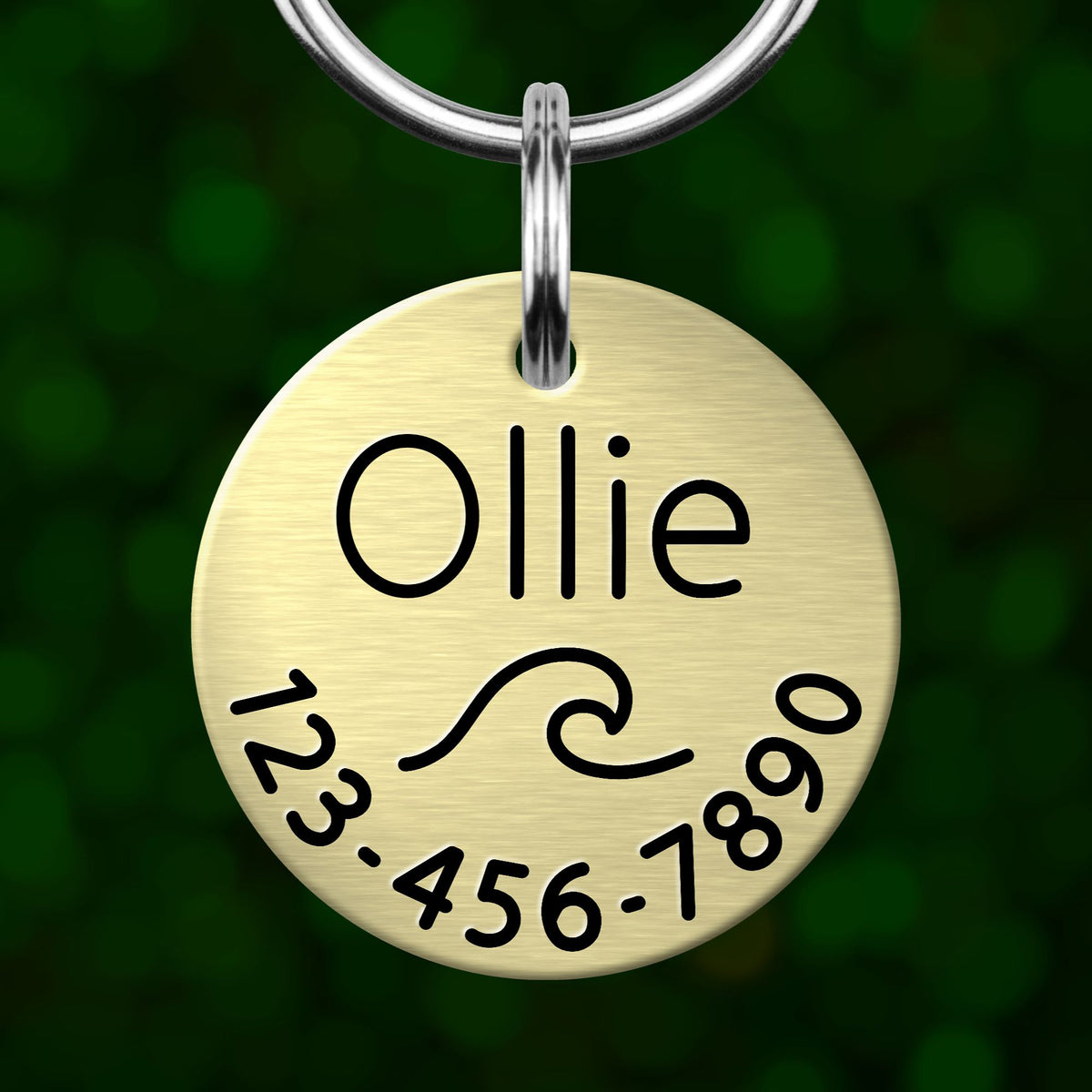 A round metal pet tag with the name "Ollie" and a phone number on it, hanging from a keychain.