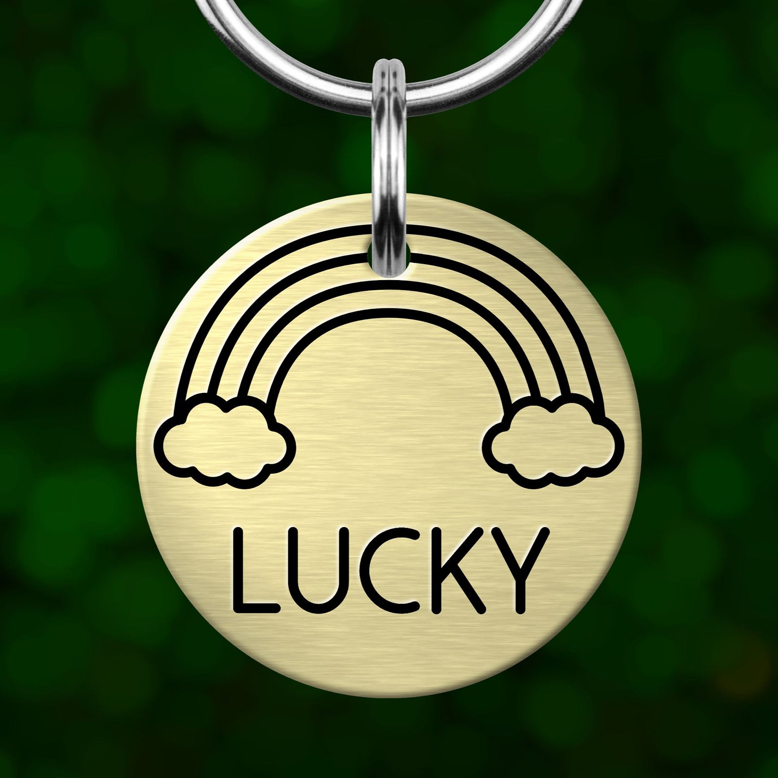 A round metal pet tag with a rainbow graphic and the word "Lucky" printed on it.