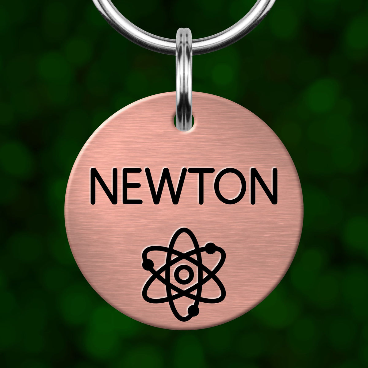 A pink circular pet tag with the name "NEWTON" and an illustration of an atom or molecule.